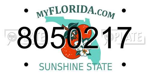 8050217 Florida License Plate
