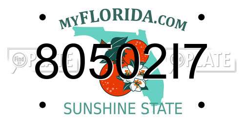 80502I7 Florida License Plate