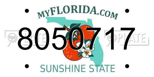 8050717 Florida License Plate