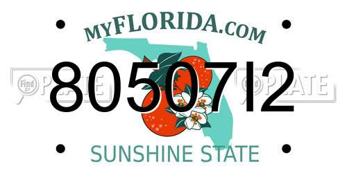 80507I2 Florida License Plate