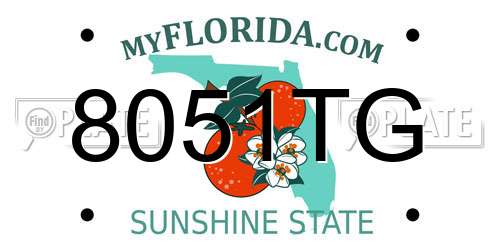 8051TG Florida License Plate