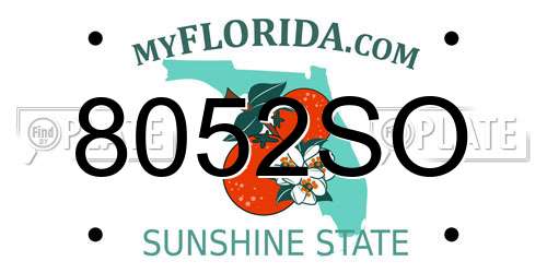 8052SO Florida License Plate