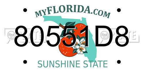 80551D8 Florida License Plate