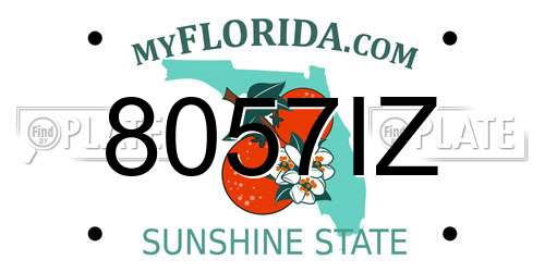 8057IZ Florida License Plate