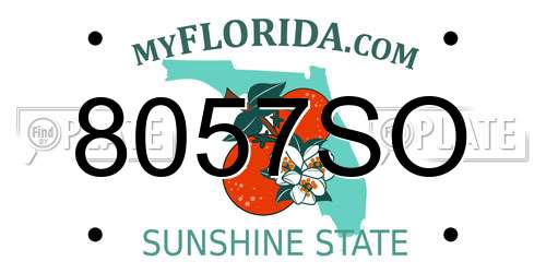 8057SO Florida License Plate