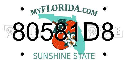 80581D8 Florida License Plate