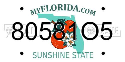 80581O5 Florida License Plate
