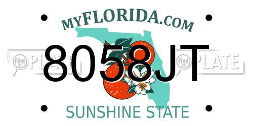 8058JT Florida License Plate