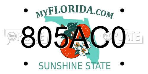 805AC0 Florida License Plate