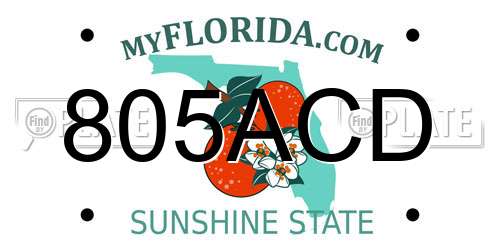 805ACD Florida License Plate