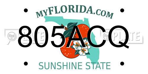 805ACQ Florida License Plate