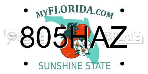 805HAZ Florida License Plate