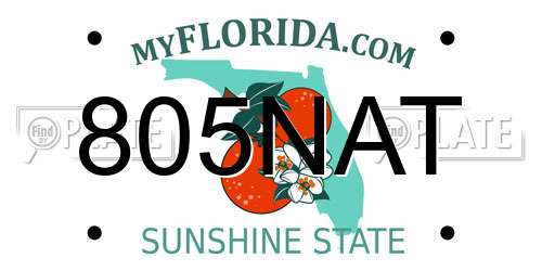 805NAT Florida License Plate