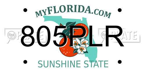 805PLR Florida License Plate