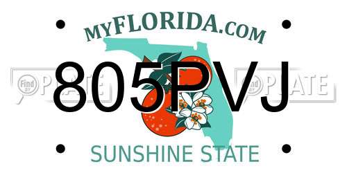 805PVJ Florida License Plate