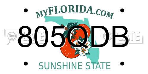 805QDB Florida License Plate