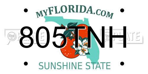 805TNH Florida License Plate