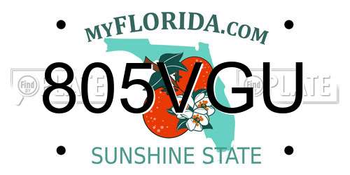 805VGU Florida License Plate