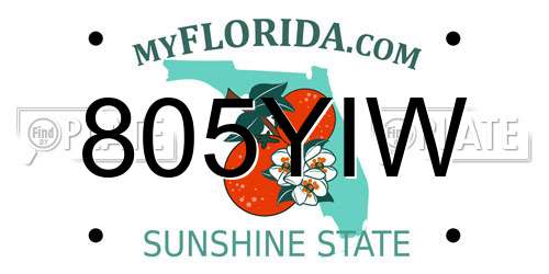 805YIW Florida License Plate