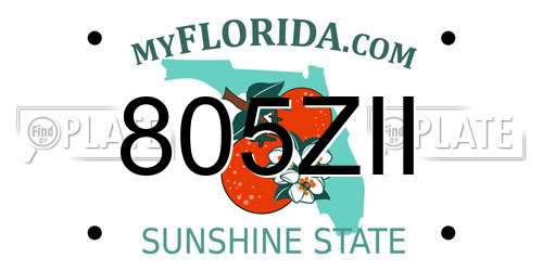 805ZII Florida License Plate