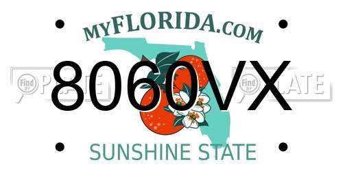 8060VX Florida License Plate