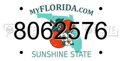 8062576 Florida License Plate