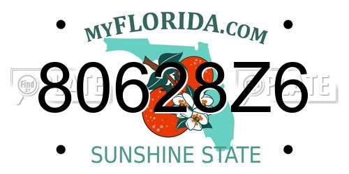 80628Z6 Florida License Plate