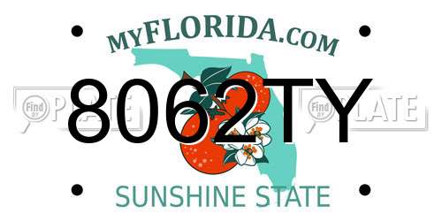 8062TY Florida License Plate