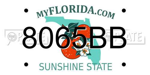 8065BB Florida License Plate