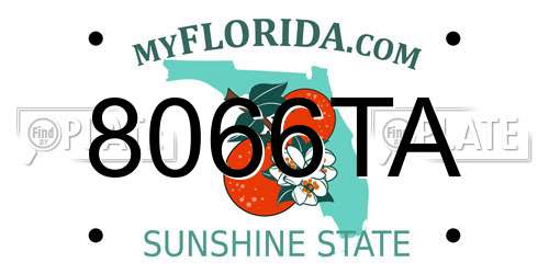 8066TA Florida License Plate