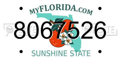 8067526 Florida License Plate