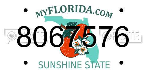 8067576 Florida License Plate