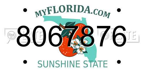 8067876 Florida License Plate