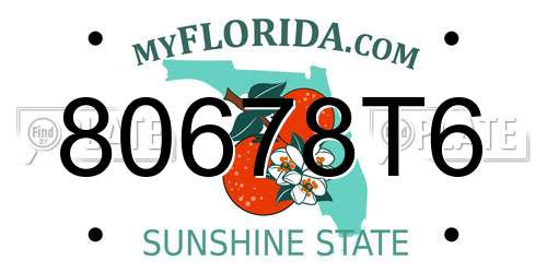 80678T6 Florida License Plate
