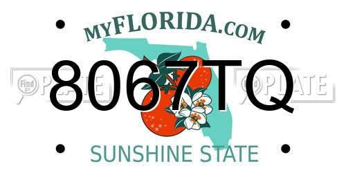 8067TQ Florida License Plate