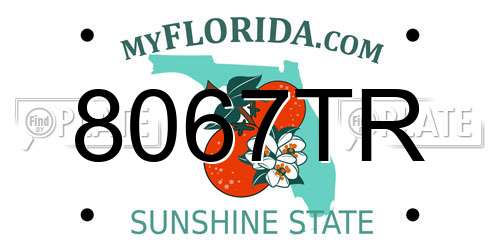 8067TR Florida License Plate