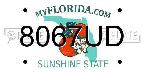 8067UD Florida License Plate