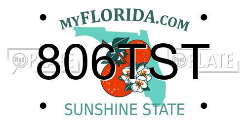 806TST Florida License Plate