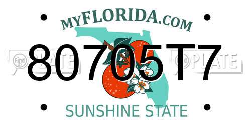 80705T7 Florida License Plate