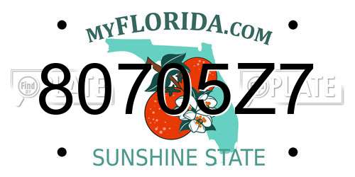 80705Z7 Florida License Plate