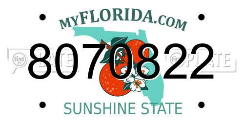 8070822 Florida License Plate