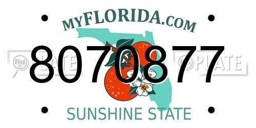 8070877 Florida License Plate