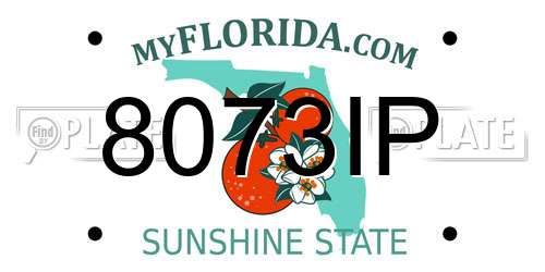 8073IP Florida License Plate