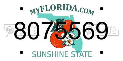 8075569 Florida License Plate