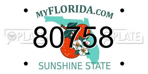 80758 Florida License Plate