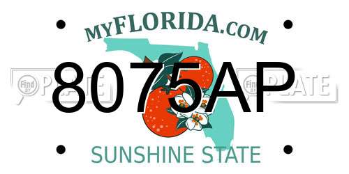 8075AP Florida License Plate