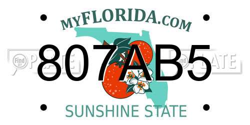 807AB5 Florida License Plate