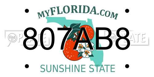 807AB8 Florida License Plate