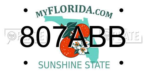 807ABB Florida License Plate
