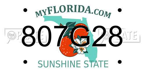 807G28 Florida License Plate
